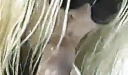 سوراخ فیلم سکسی پرده بکارت تراشیده زیبایی