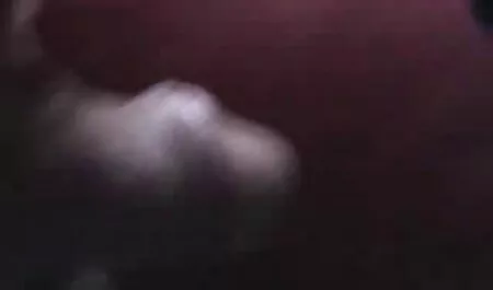 سگ ماده باردار کبک را در دوربین بیدمشک فیلم سکسی پاره شدن پرده می زند
