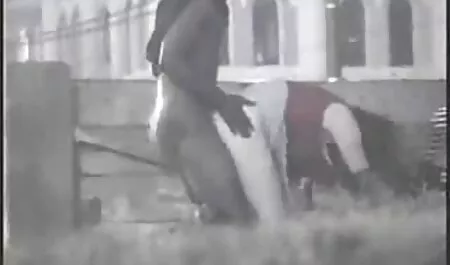 موی سرخ قشنگ و سرخوش بازیگوش با هم کلیپ سکسی زدن پرده بکارت دانشجویی دلپذیر