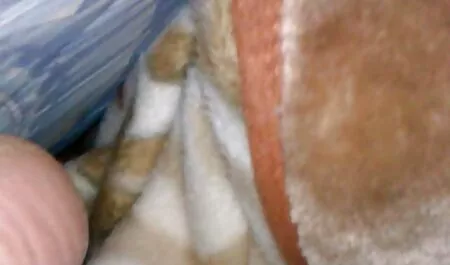 مرد نیرومند جوجه جوانی را در تمام سوراخ ها گرفت کلیپ سکس زدن پرده